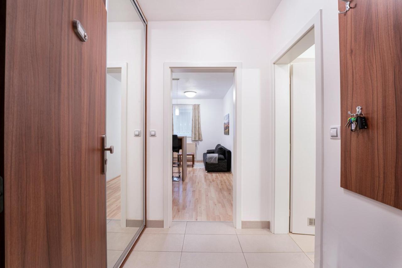 Appartement Depandance Marnet Sneznik à Dolní Morava Extérieur photo